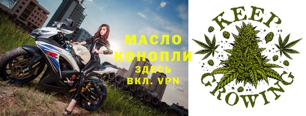 мдпв Горняк