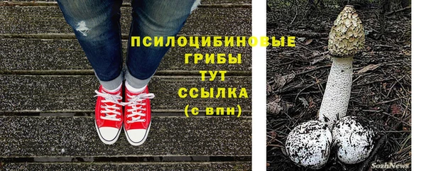 мдпв Горняк