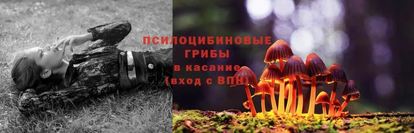 молекула духа Горно-Алтайск